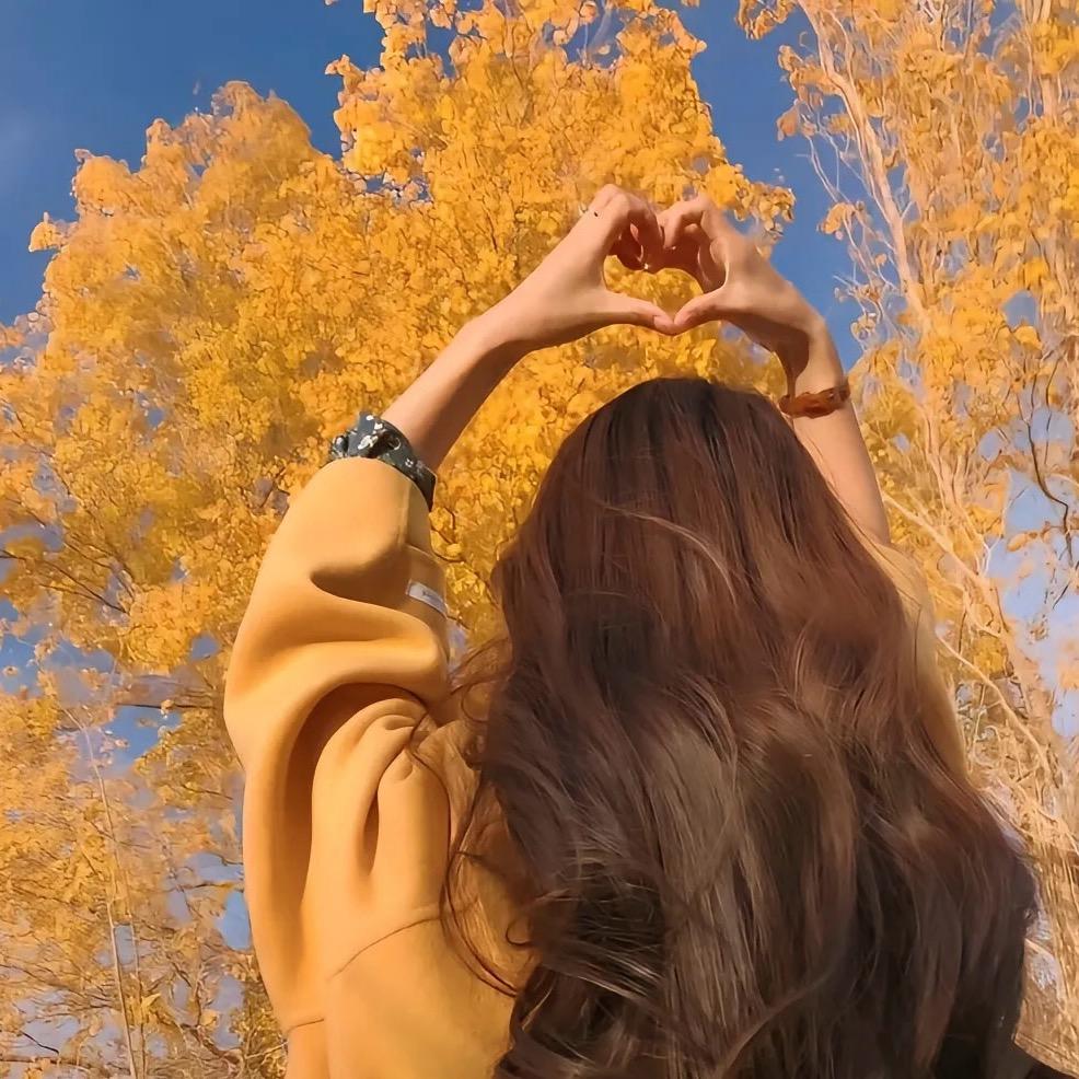 趙💋嘚劲