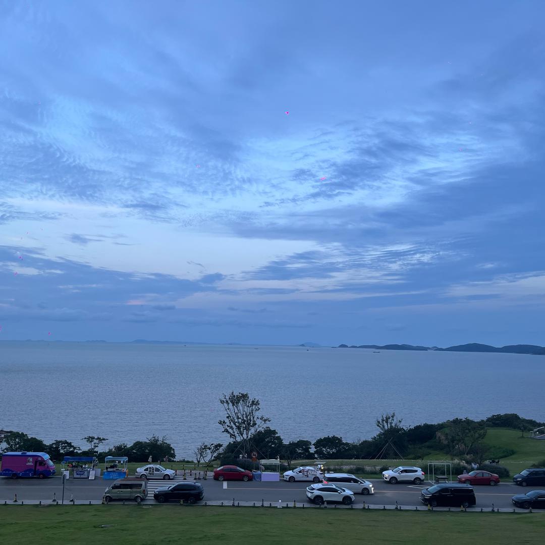 海绵小新