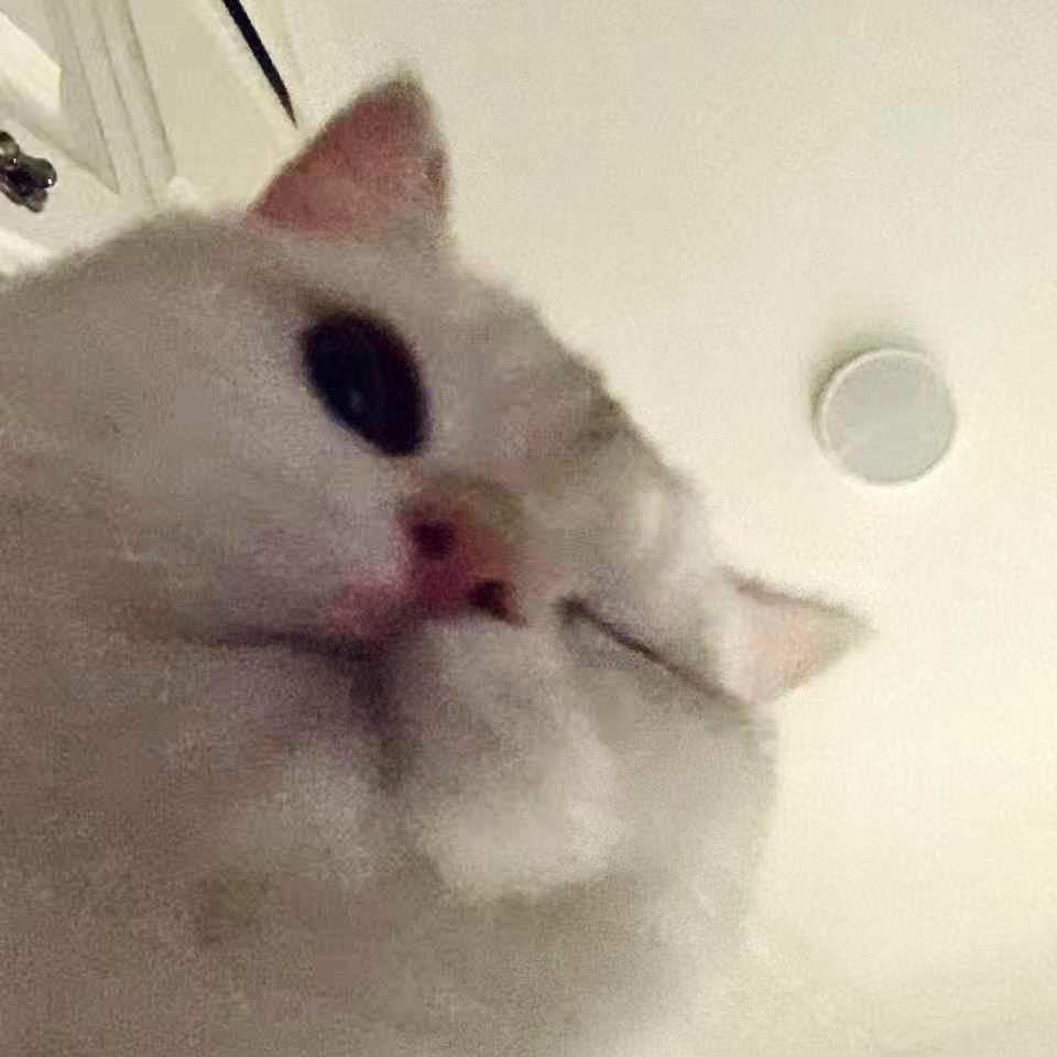 杰出的鱼