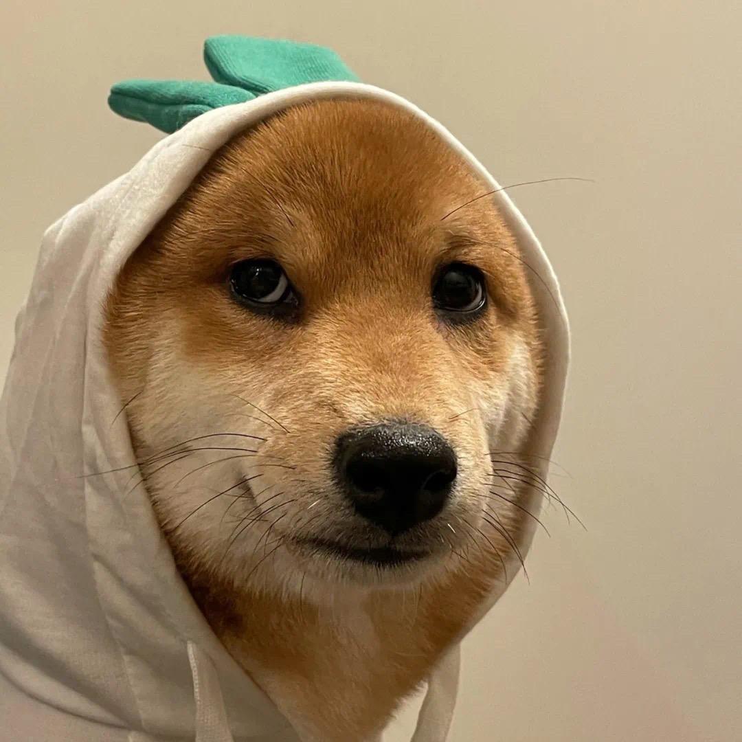 明天一定早起