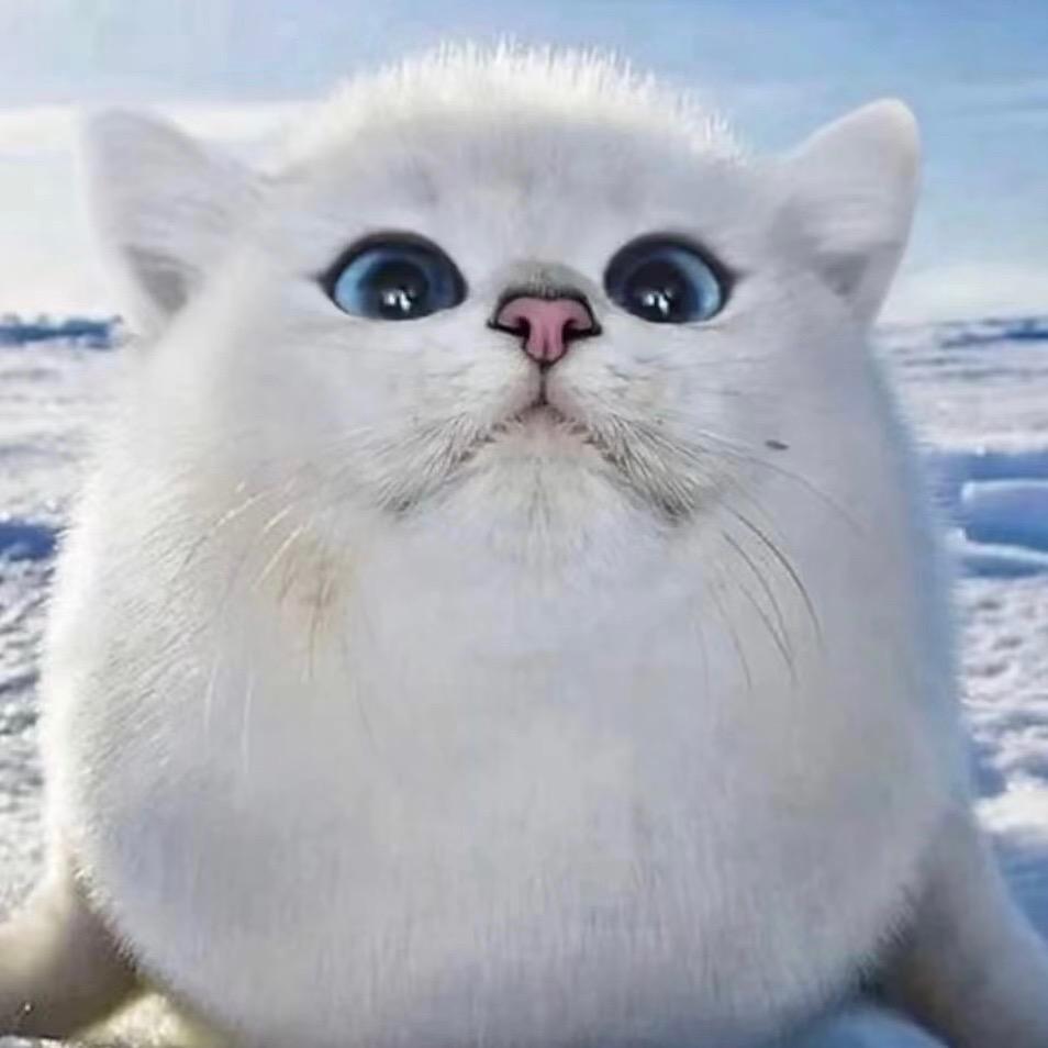 等会等会大都不夸张喜家德布地奈德