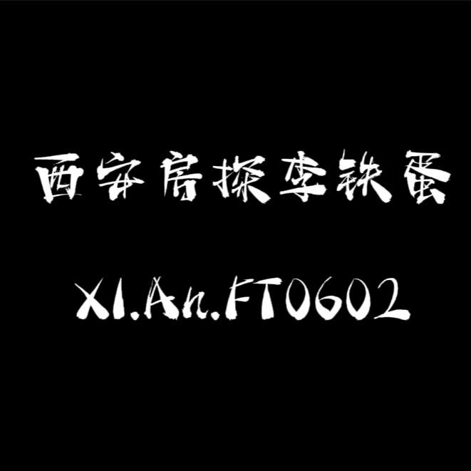西安房探李铁蛋儿