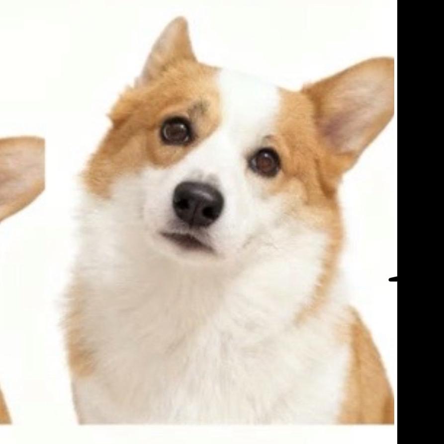 丶               7
