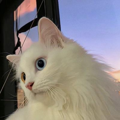 美嘴