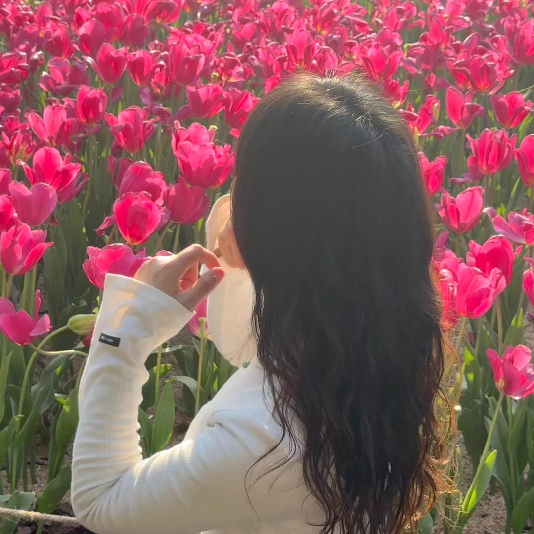 琦琦鱼