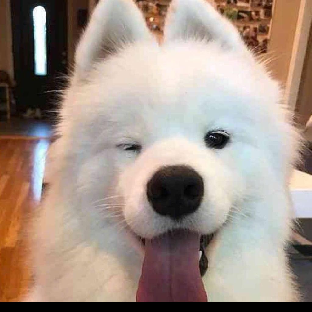 我废话贼多！！！