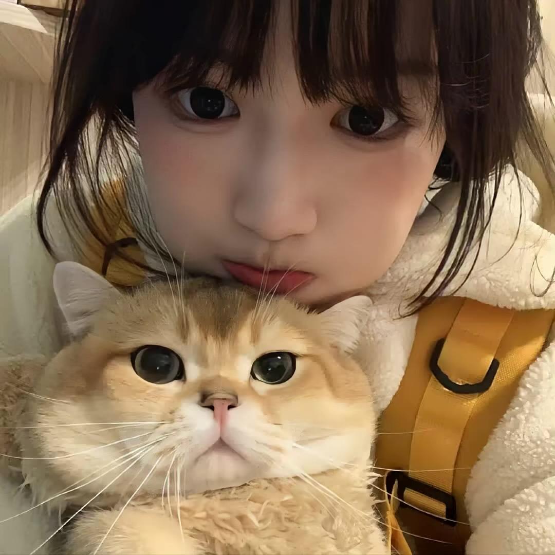 半截诗