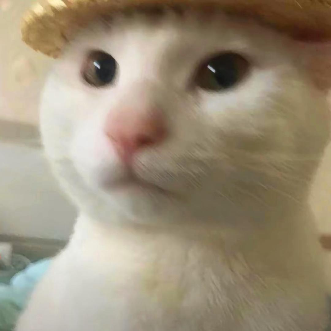 芋沅