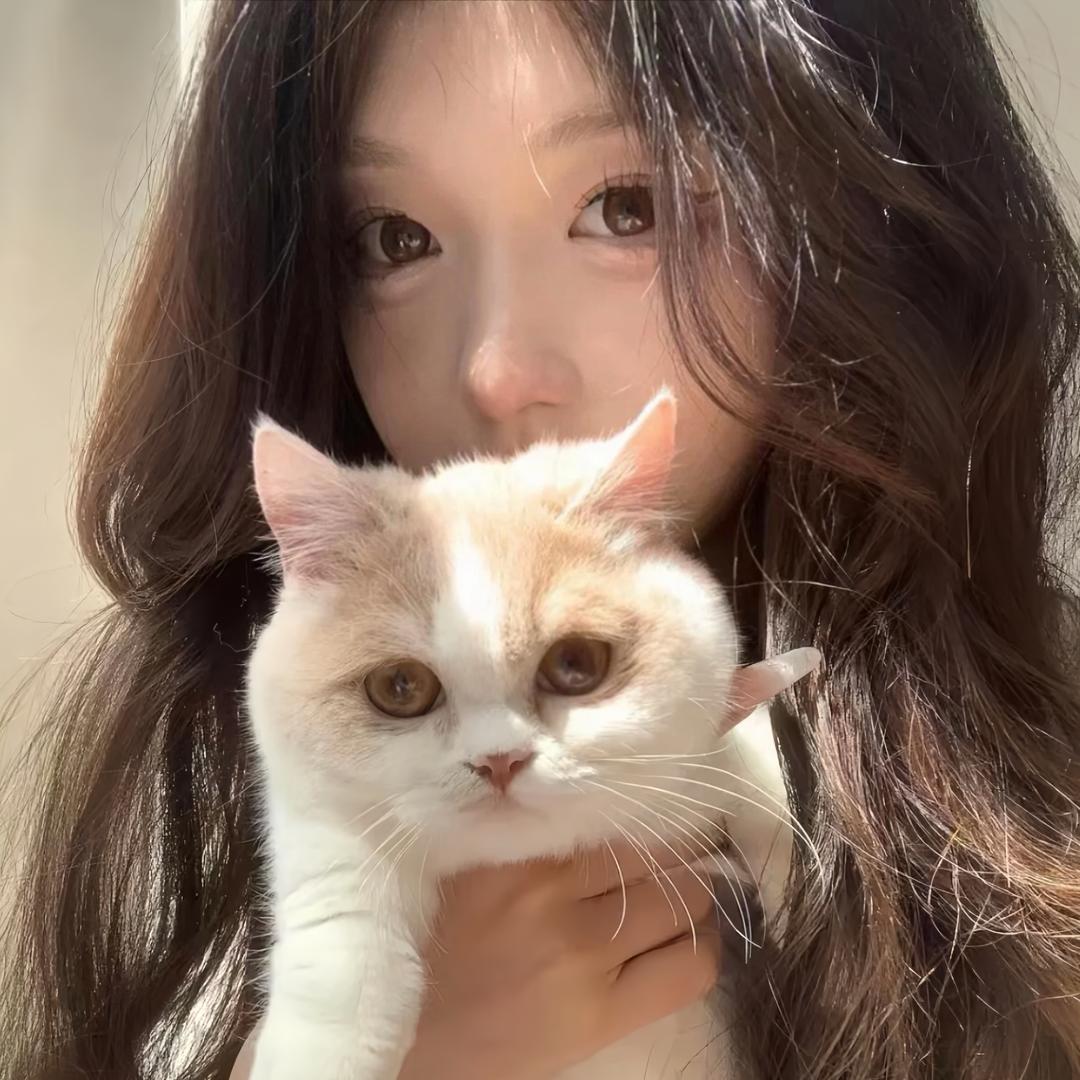 -小盒子
