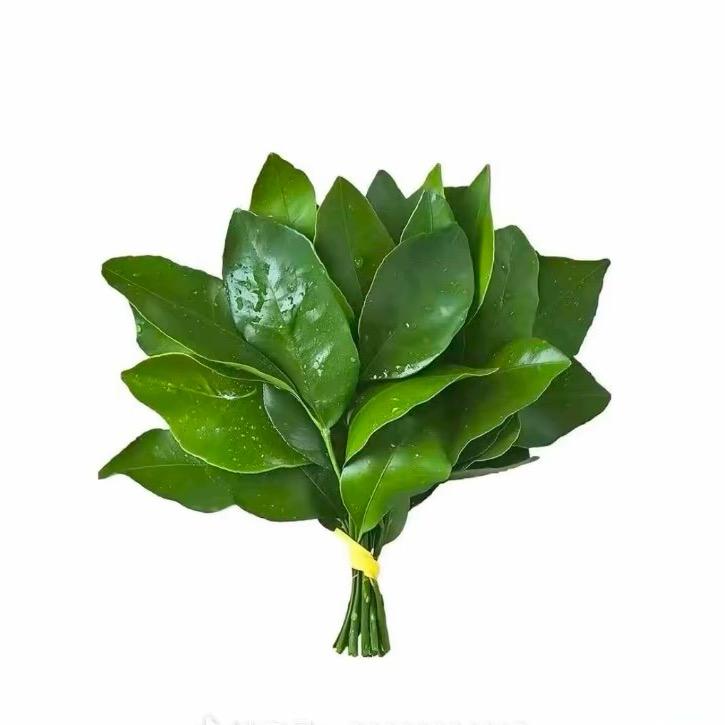 77的朋友圈