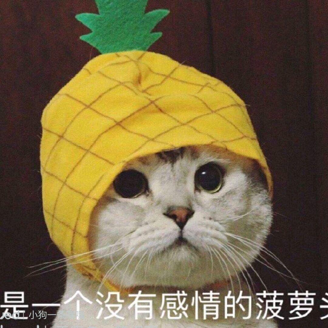 菠萝吹的不是雪～