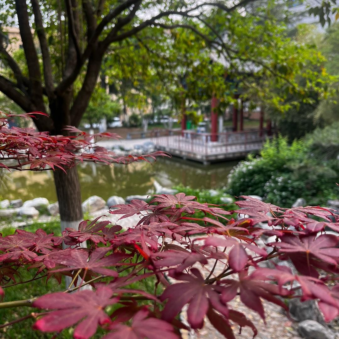 开往拉萨的火车