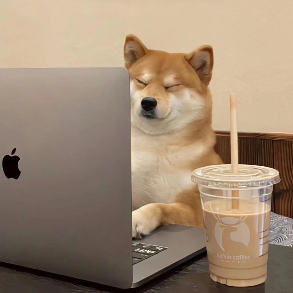 快乐的露营分享者