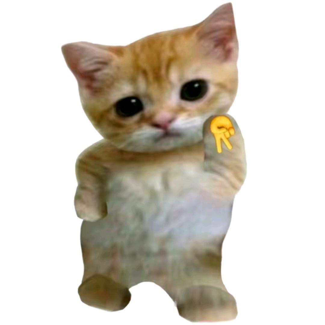 喵