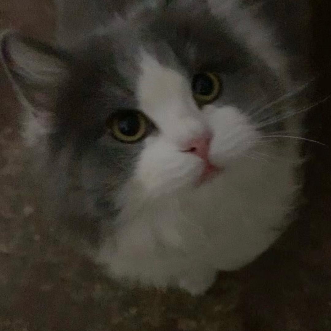 L！