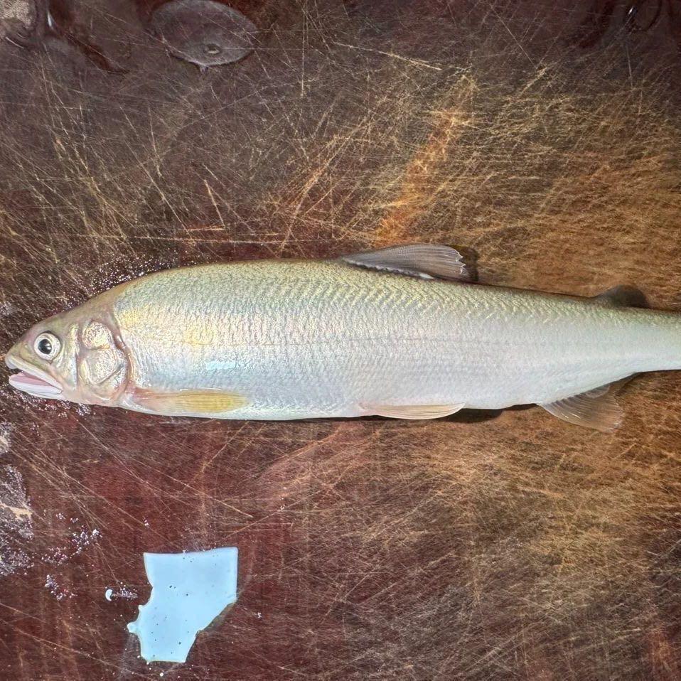 我很小的时候就出生了