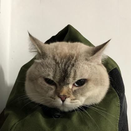 干姜