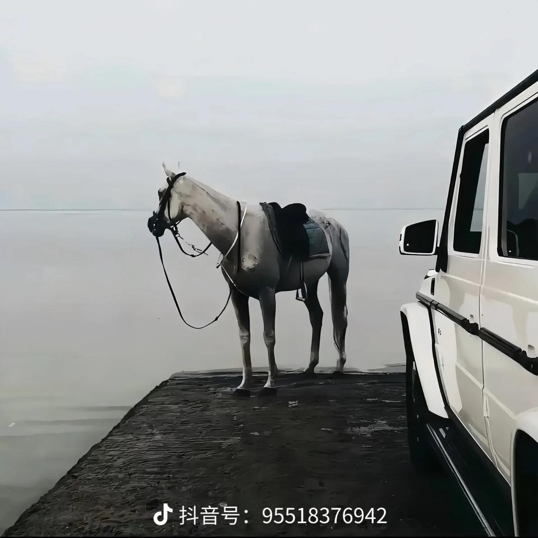 人生路不熟