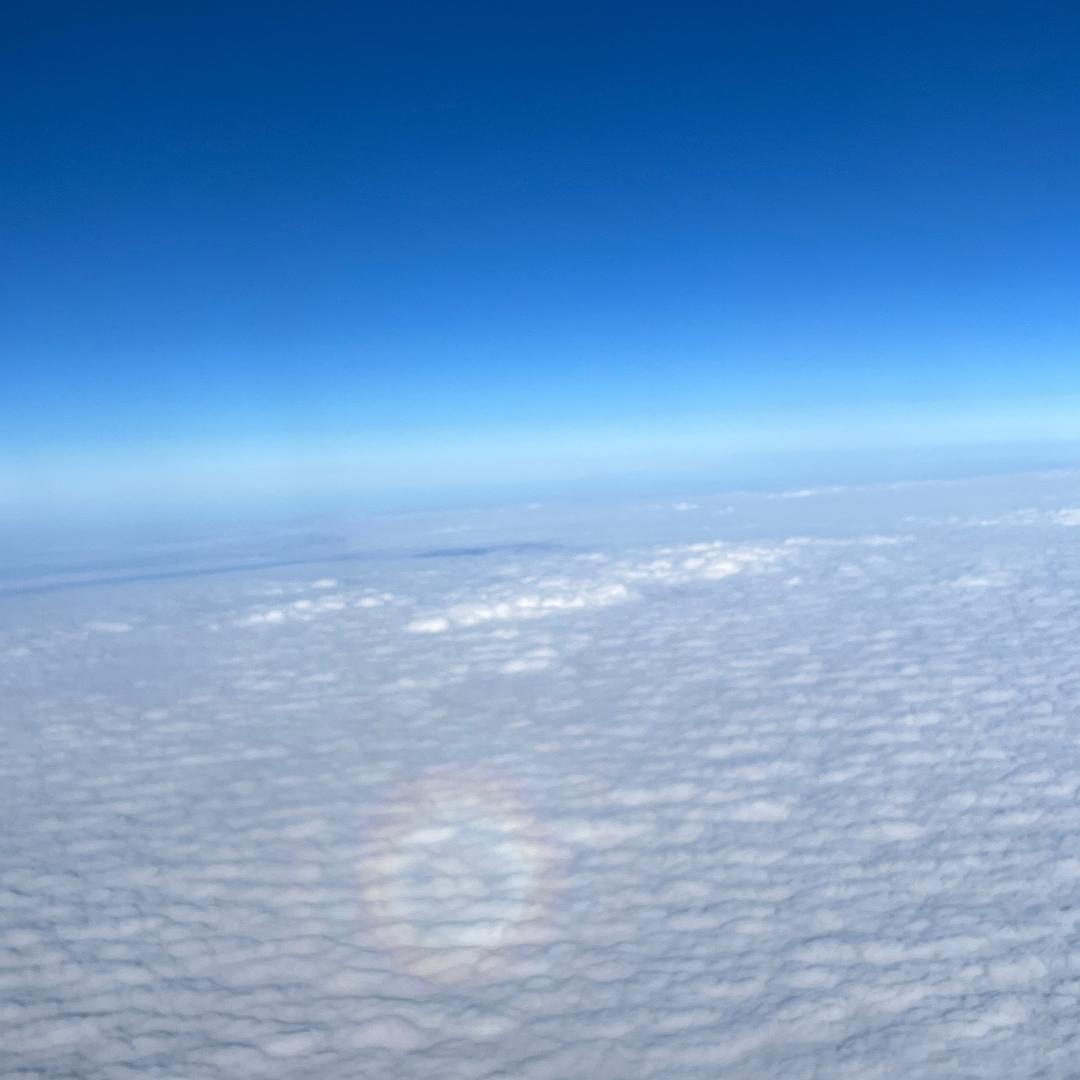 木子李૮ •𖥦• აᐝ