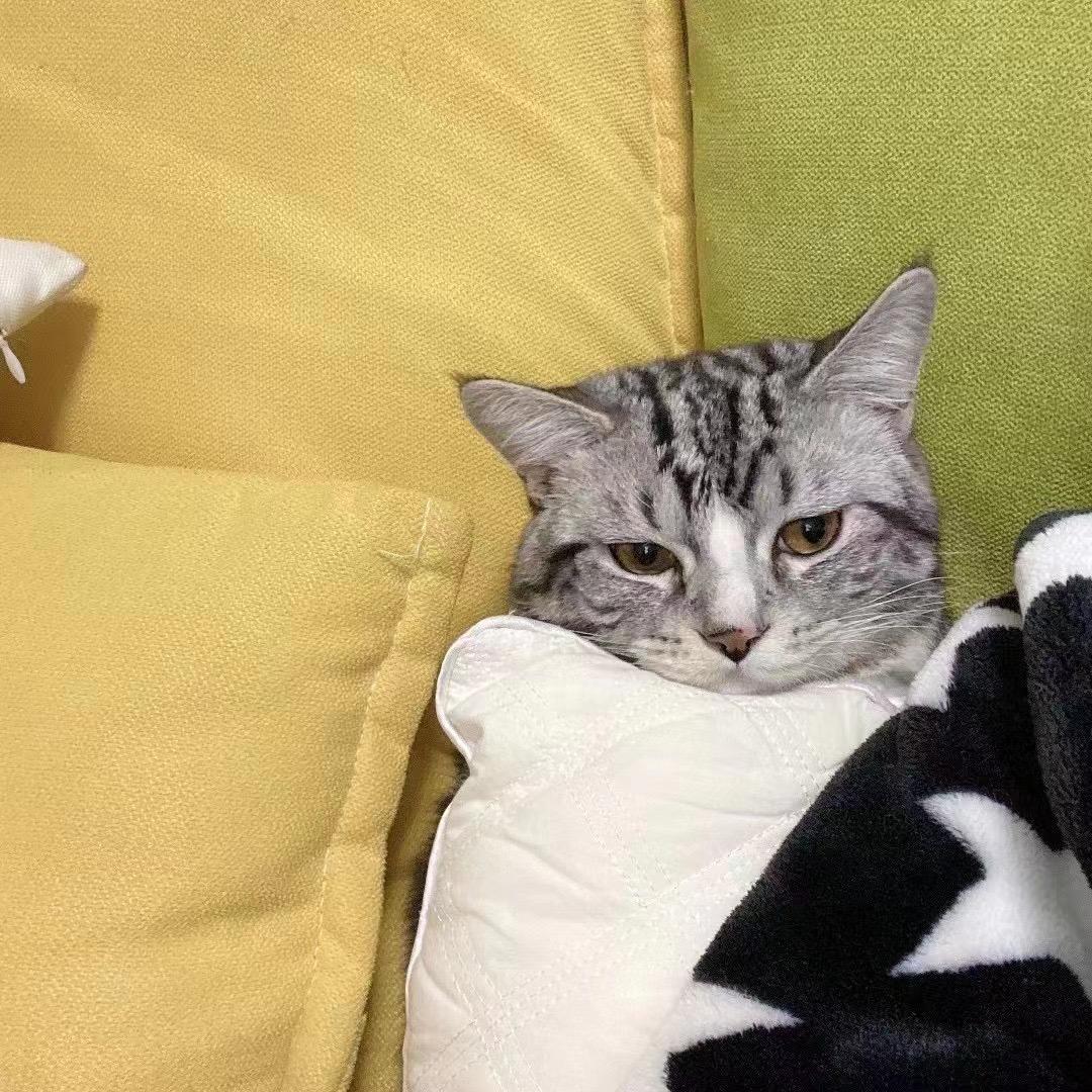 Levi.