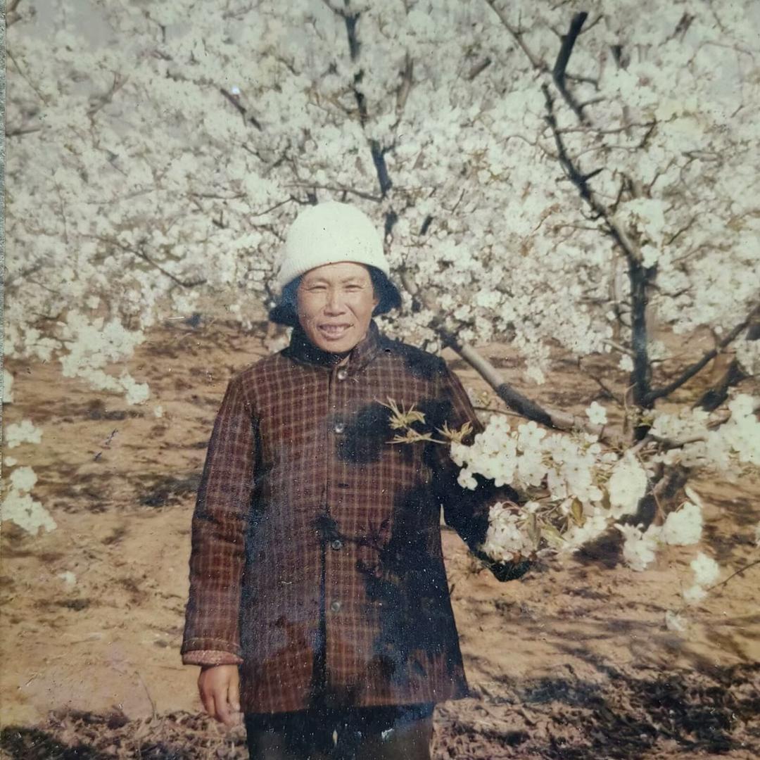 76岁奶奶打怪兽