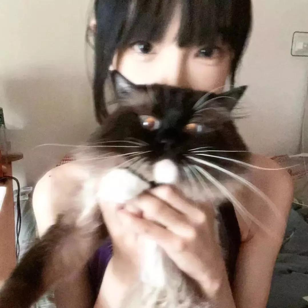 爆浆鸡排