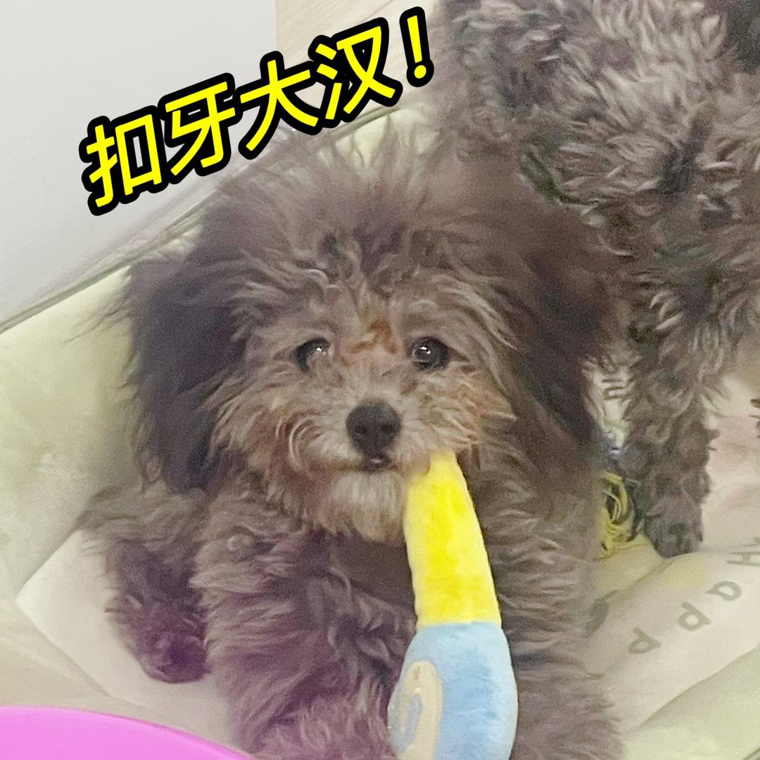 原来是锅底儿呀