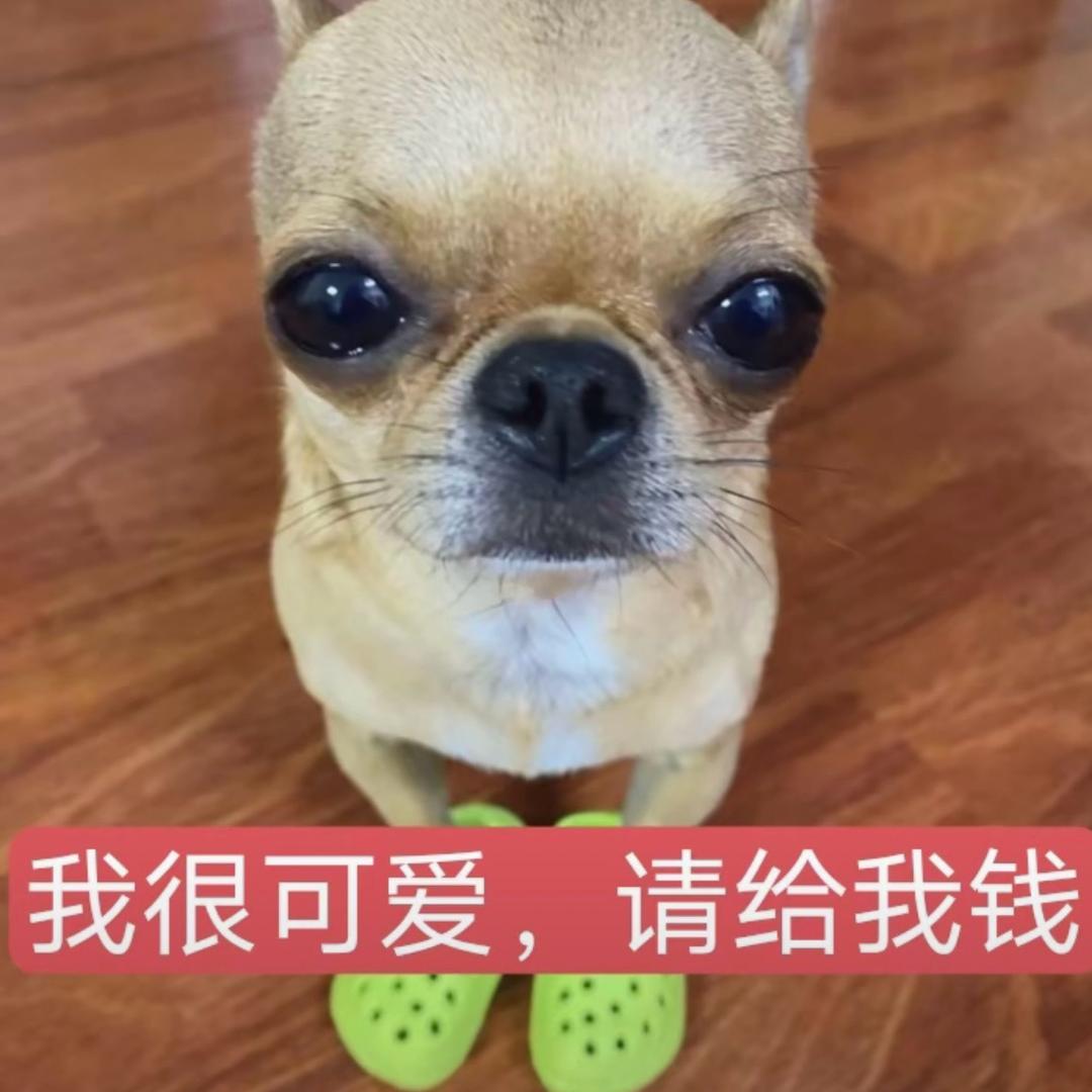 一只鱼