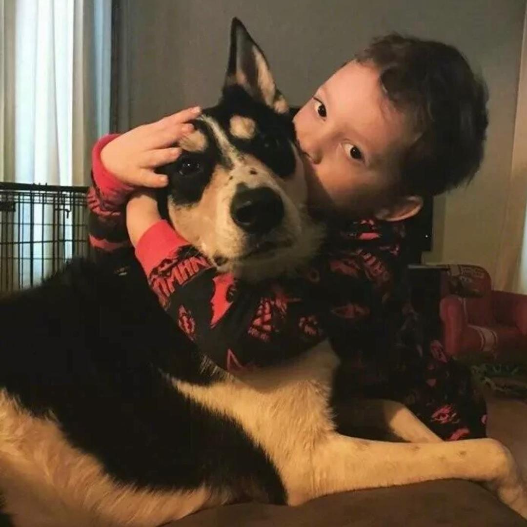 俊杰