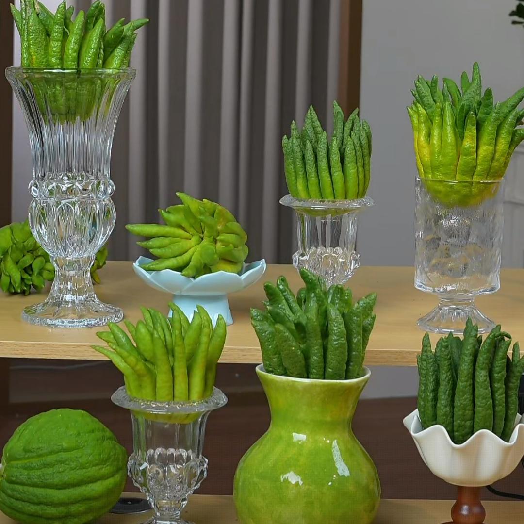 花汐子佛手基地@抖音