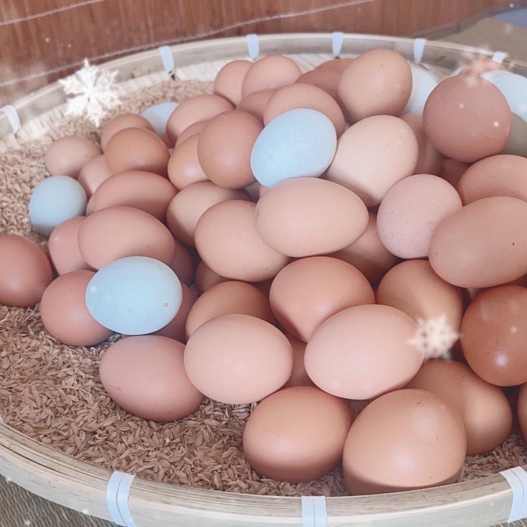 土鸡蛋直销