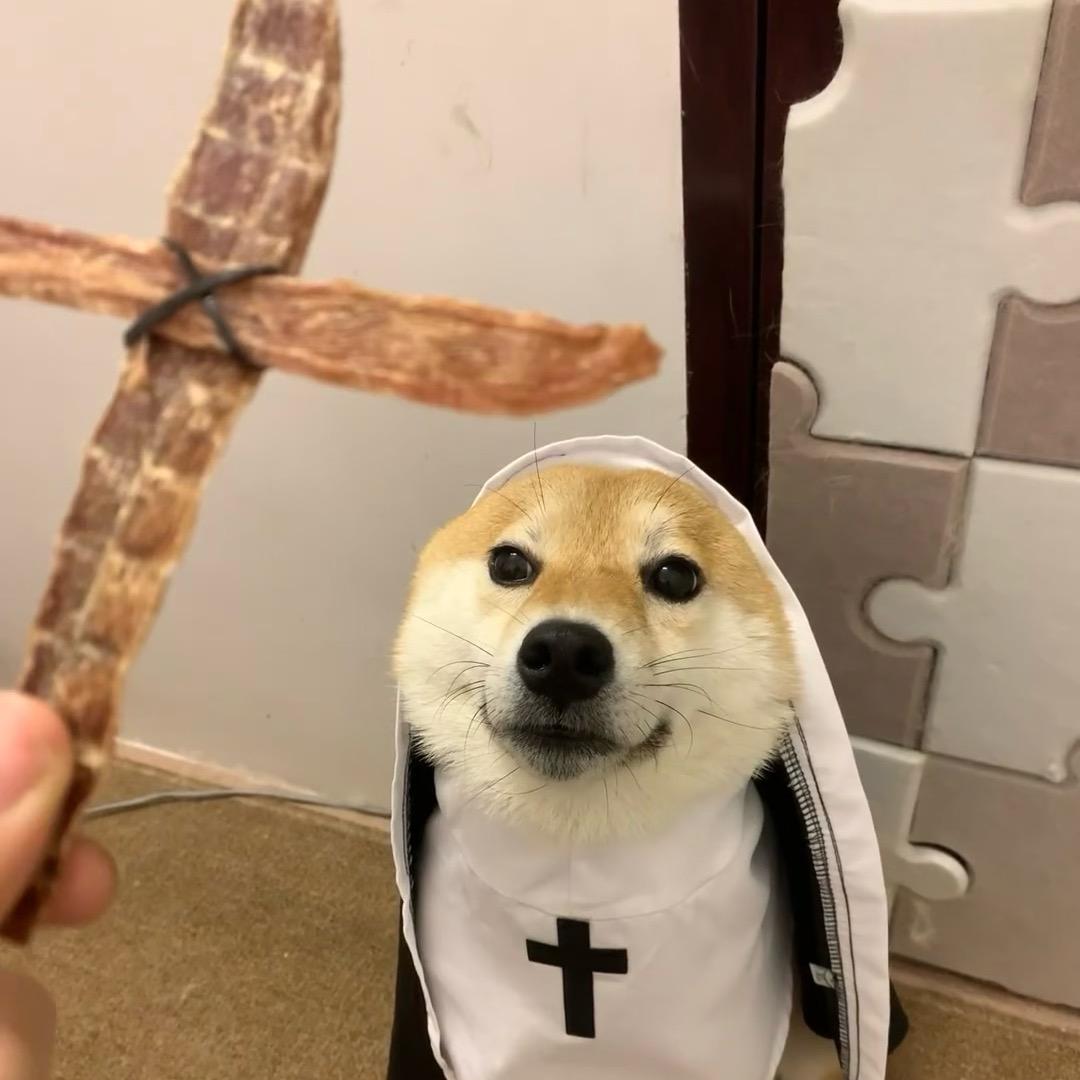 旺旺小小苏🍀