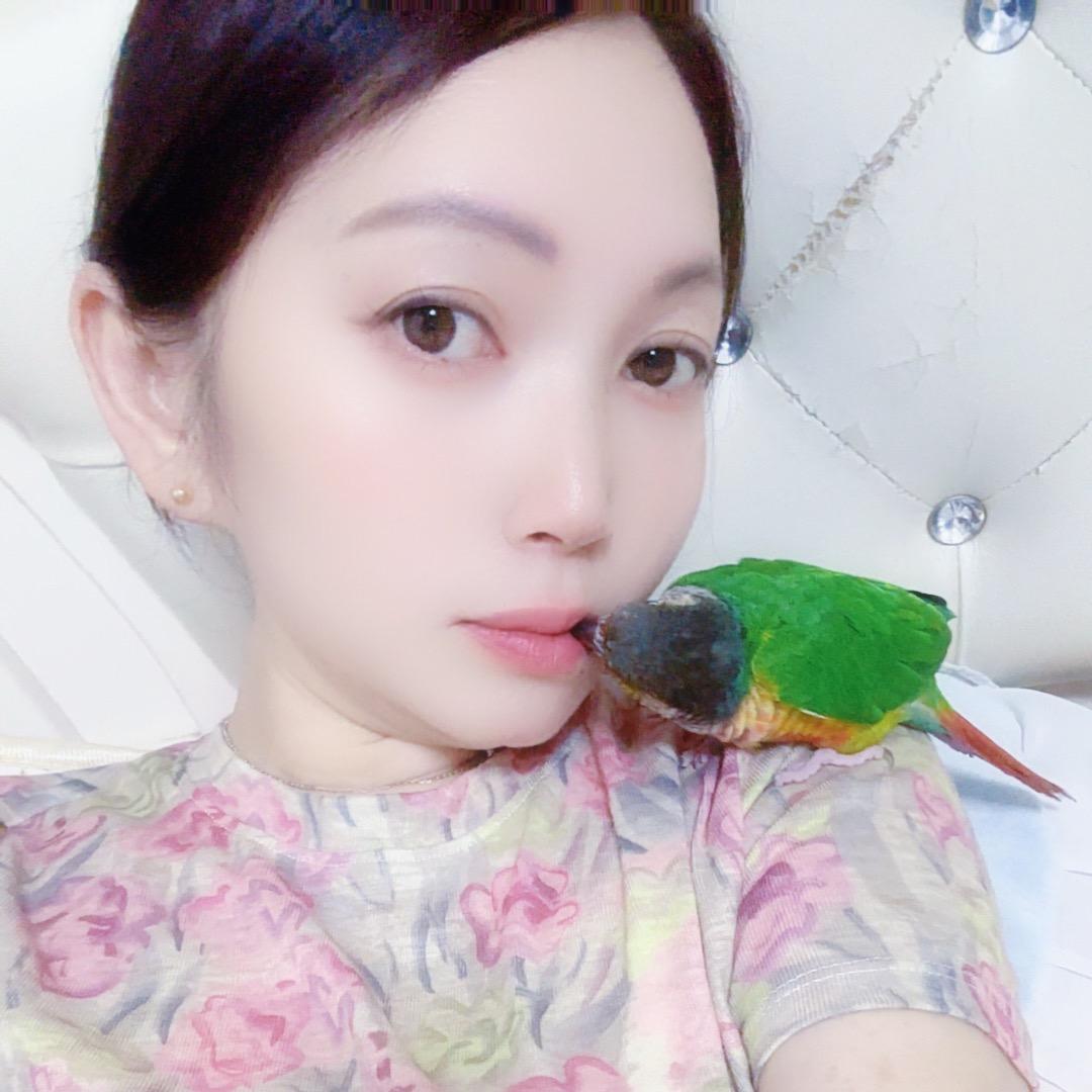 兰花草🪴