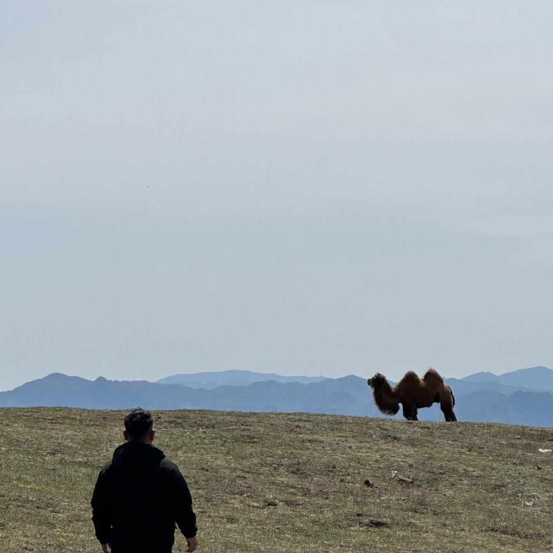 滦河石👉 ᝰꫛ远方ꫀꪝ