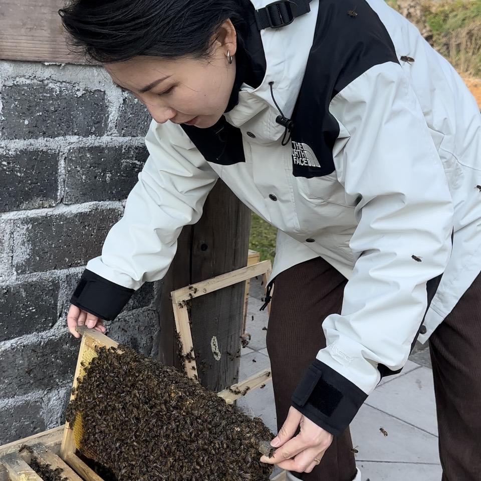 福鼎苏他农业臻选