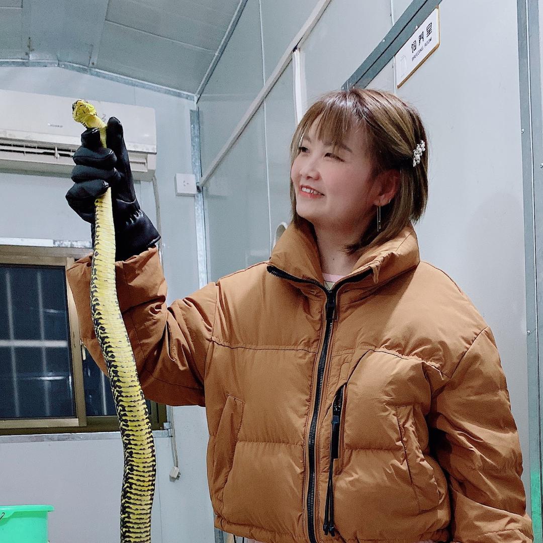养蛇小妖精