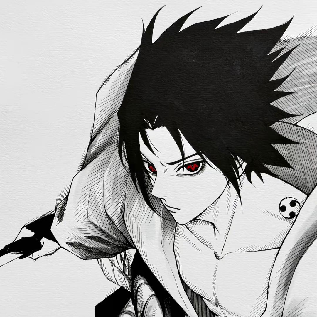 Sasuke（数码外设版）