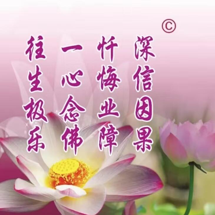 海芋姐