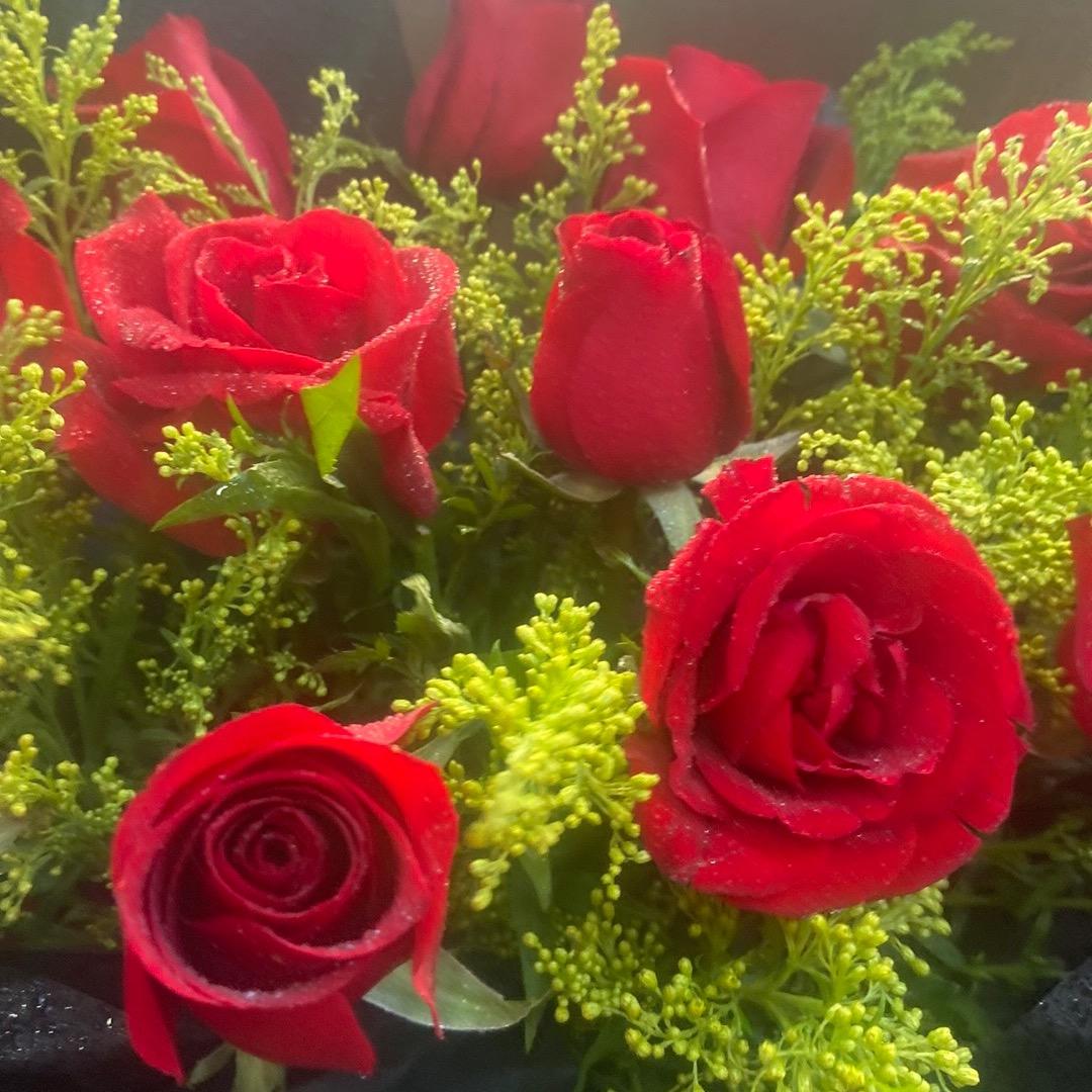 🥀ℒᎭℯ杨ꦿ҉᭄࿚ནོ⁵²⁰