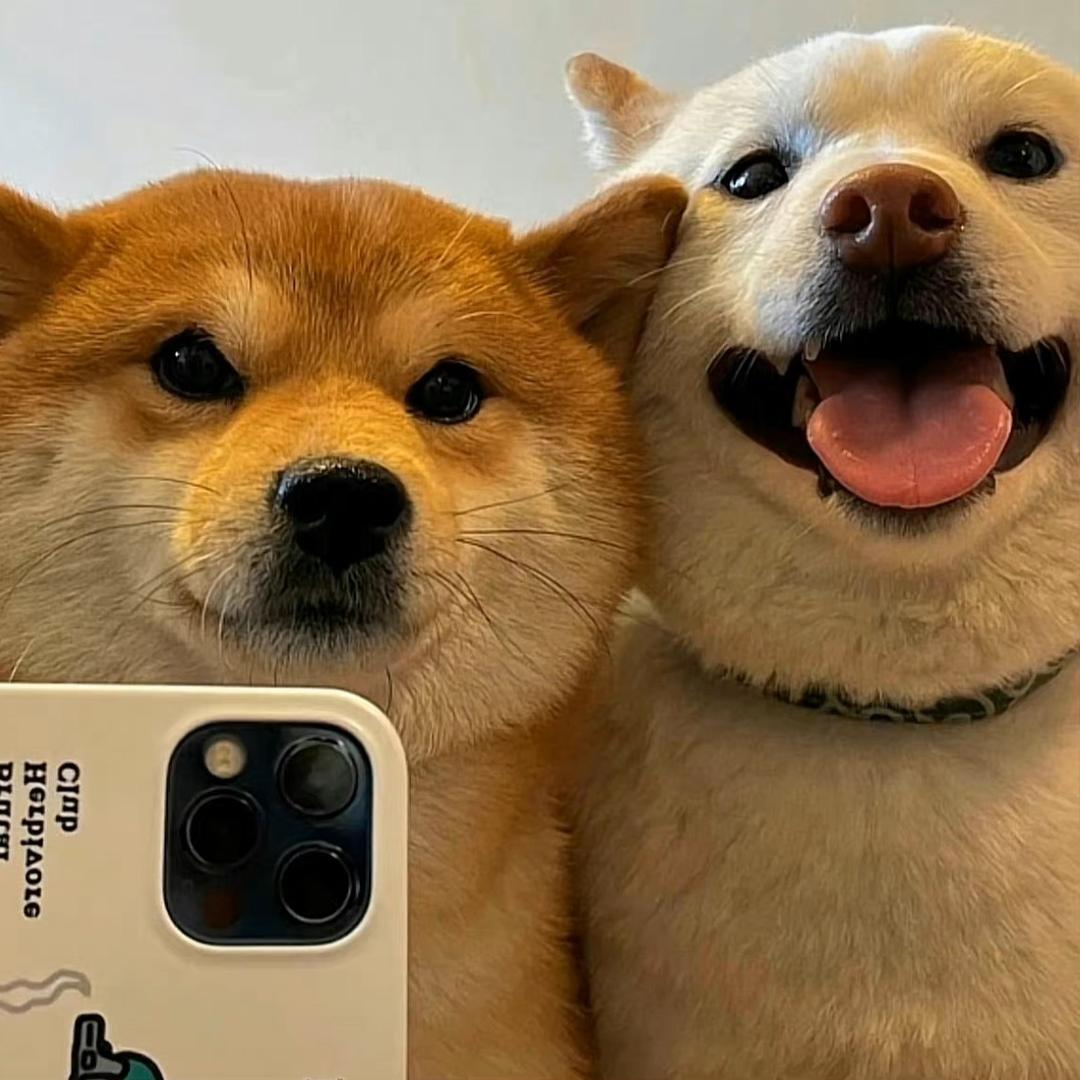 ME-