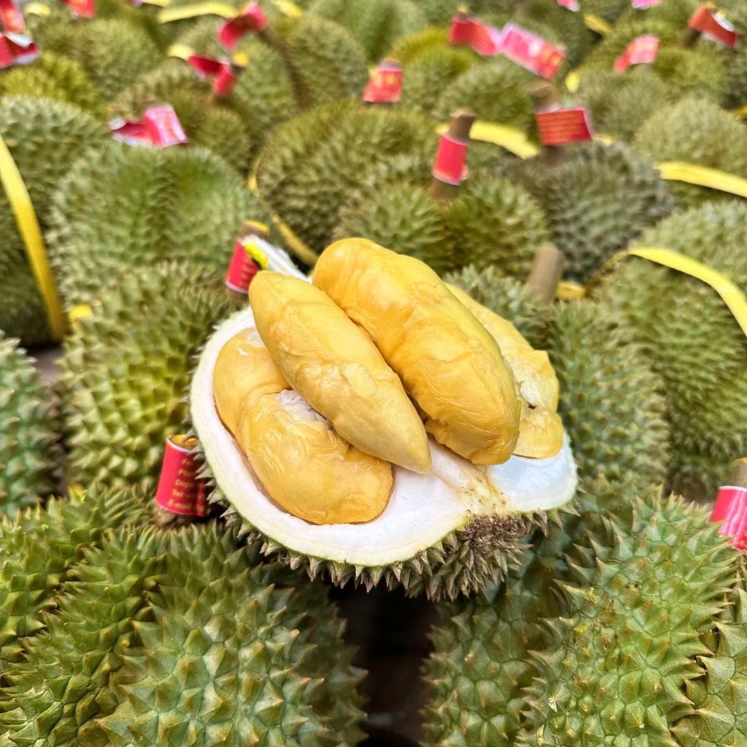 张小果水果供应链