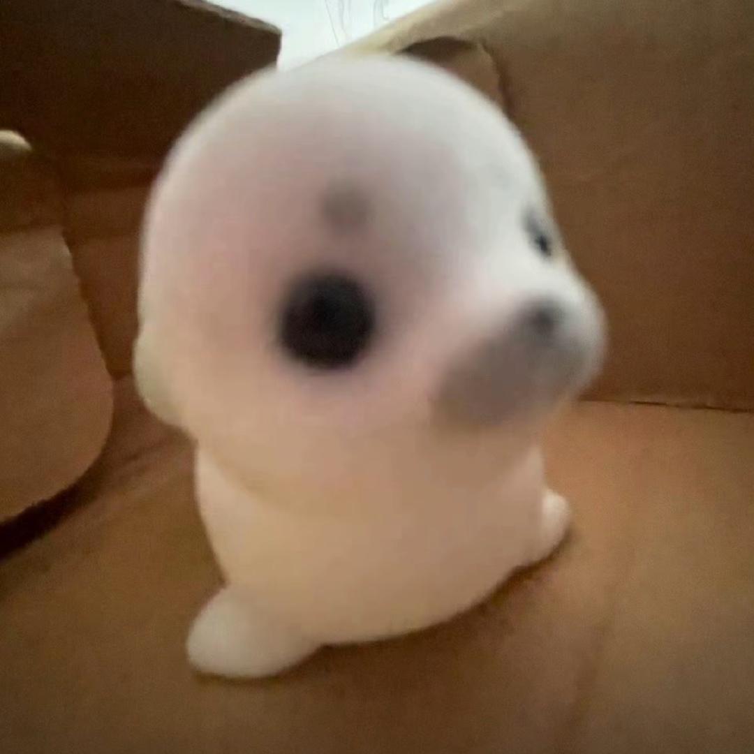 Miaouoe