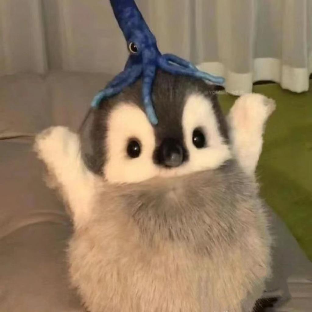 🐧哈哈不哈哈