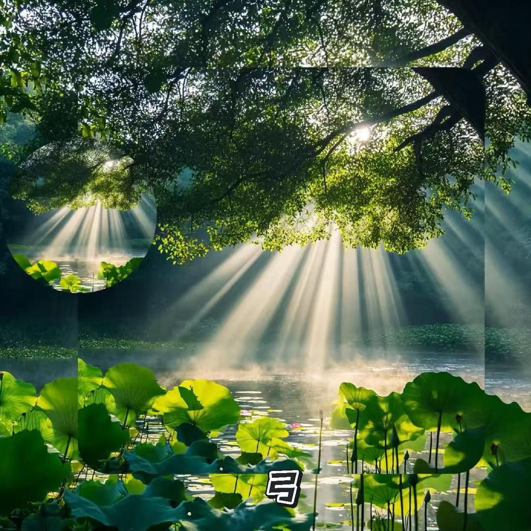 横水镇九龙市场人本帆布鞋店谢绝连赞