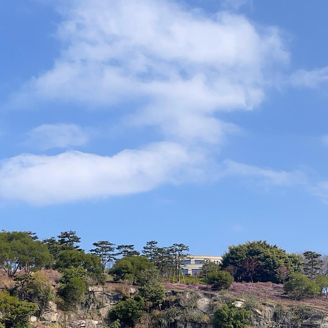 阿望的海南生活