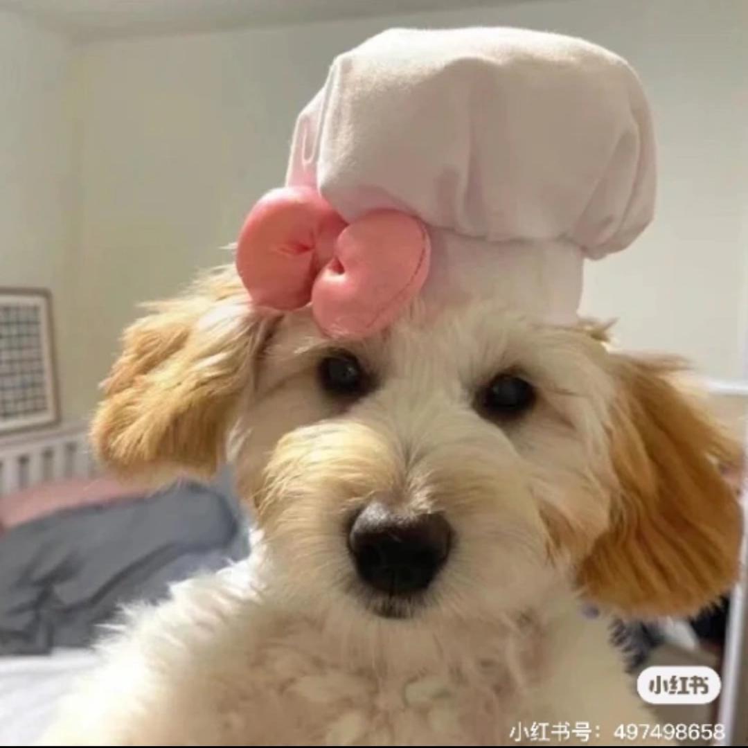 流瑜伽
