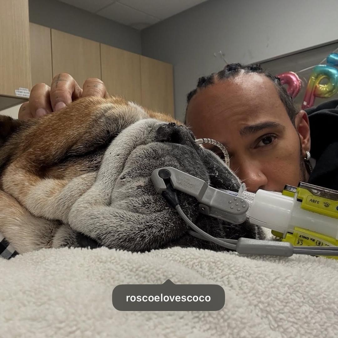 大名鼎鼎果果侠