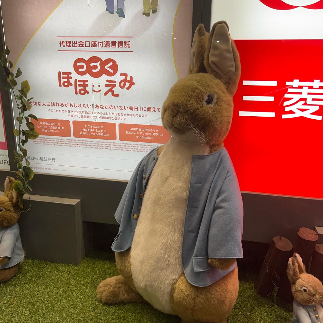 兔哥在日本