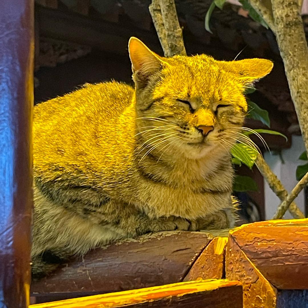 Y733📷感动常在