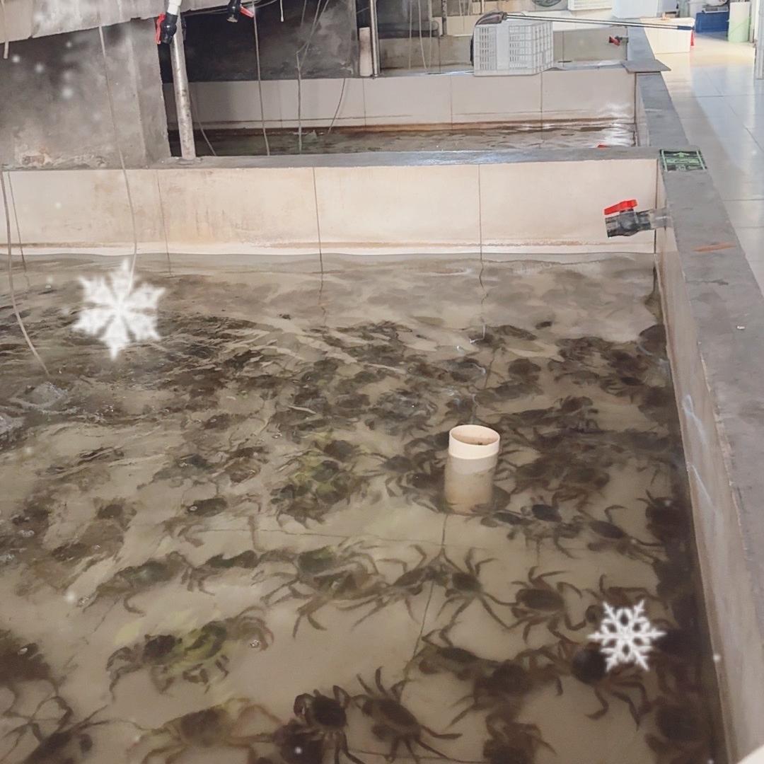 渔歌鲜大闸蟹店